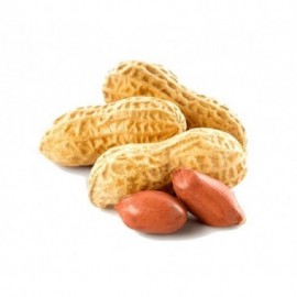 MANI C/CASC GIGANTE BOLIVIANO X 1 KG