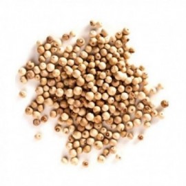 PIMIENTA BLANCA EN GRANOS  BRASIL  EL KG